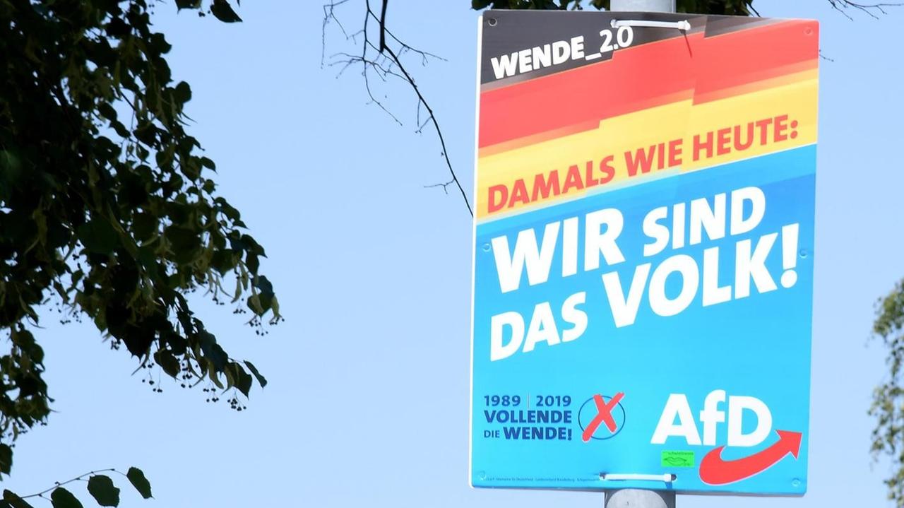 Ein Wahlplakat der Partei Alternative für Deutschland (AfD) mit der Aufschrift "Wir sind das Volk!" ist in Brandenburg zu sehen. Ein Wahlplakat der Partei Alternative für Deutschland (AfD) mit der Aufschrift "Wir sind das Volk!" ist in Brandenburg zu sehen.
