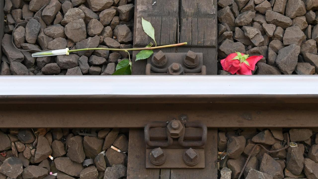 Am Gleis 7 des Hauptbahnhofs liegt eine Rose auf den Schienen an jener Stelle, an der ein achtjähriger Junge am 29. Juli von einem Mann vor einen einfahrenden ICE gestoßen und getötet worden war. Am Gleis 7 des Hauptbahnhofs liegt eine Rose auf den Schienen an jener Stelle, an der ein achtjähriger Junge am 29. Juli von einem Mann vor einen einfahrenden ICE gestoßen und getötet worden war.