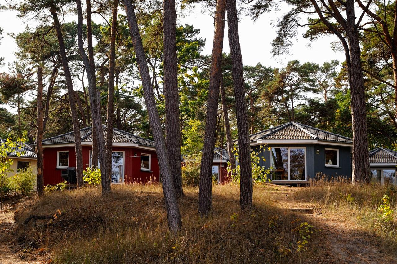 Bungalowsiedlung im Wald im Landkreis Vorpommern-Rügen im Herbst. Bungalowsiedlung im Wald im Landkreis Vorpommern-Rügen im Herbst.