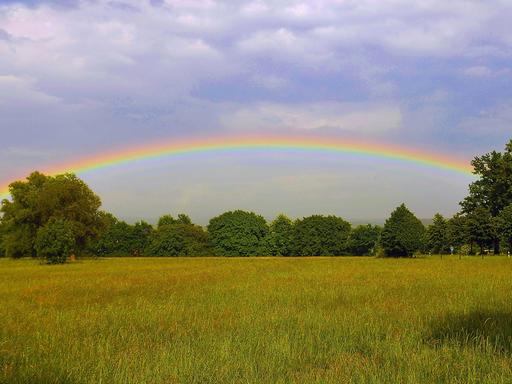 Regenbogen über einer Wiese, aufgenommen am 22.05.2011.