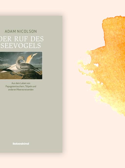Cover des Buchs "Der Ruf des Seevogels" von Adam Nicolson. Das blass beige-grüne Cover ist mit einer farbigen Zeichnung von zwei Vögeln versehen.