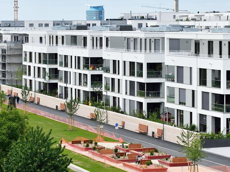 Der Stadtteil Bahnstadt in Heidelberg (Baden-Württemberg)