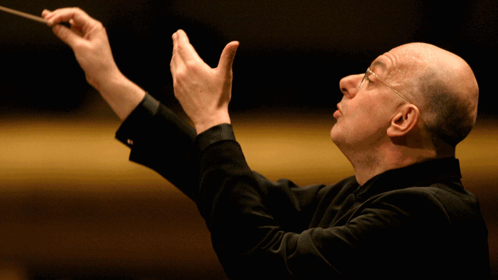 Der Dirigent Leon Botstein