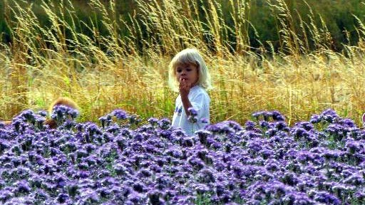 Ein kleines Mädchen auf einer Wiese in der Nähe von Duisburg