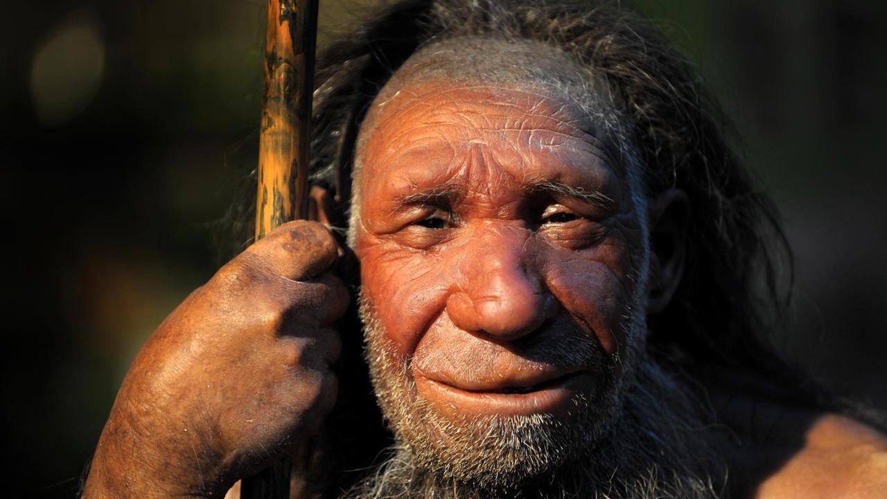 So soll er laut Forschern ausgesehen haben: Die Nachbildung eines älteren Neandertalers. So soll er laut Forschern ausgesehen haben: Die Nachbildung eines älteren Neandertalers.