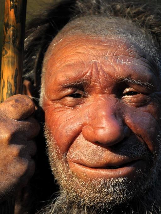So soll er laut Forschern ausgesehen haben: Die Nachbildung eines älteren Neandertalers.