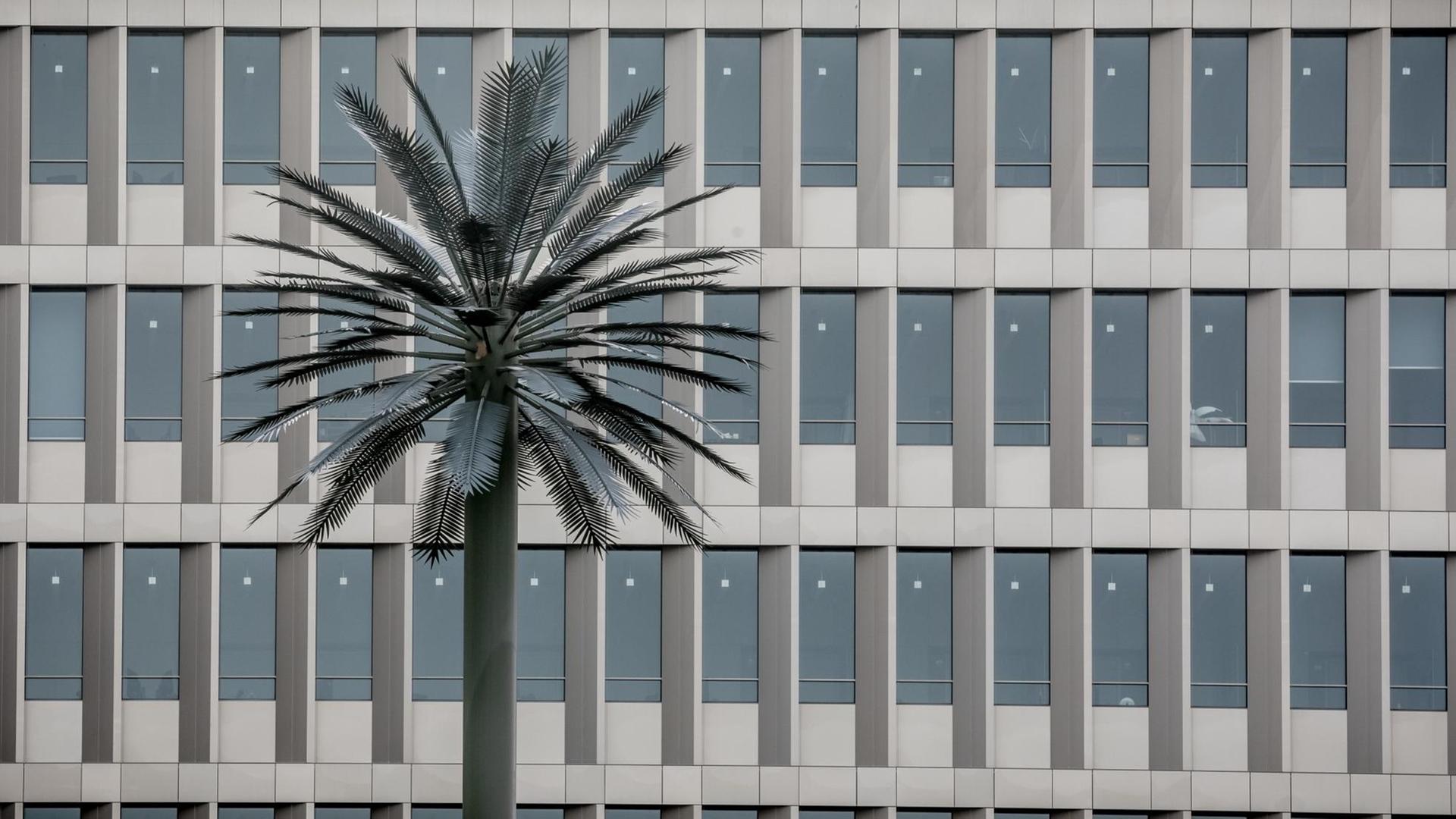Die Glasfassade des Bundesnachrichtendienstes, der neuen Zentrale in der Chausseestraße in Berlin mit einer künstlichen Palme. Die Glasfassade des Bundesnachrichtendienstes, der neuen Zentrale in der Chausseestraße in Berlin mit einer künstlichen Palme.