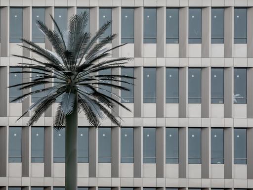 Die Glasfassade des Bundesnachrichtendienstes, der neuen Zentrale in der Chausseestraße in Berlin mit einer künstlichen Palme.