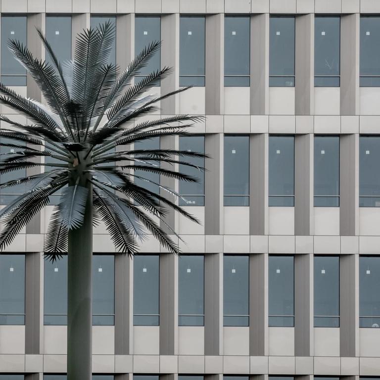  Die Glasfassade des Bundesnachrichtendienstes, der neuen Zentrale in der Chausseestraße in Berlin mit einer künstlichen Palme.