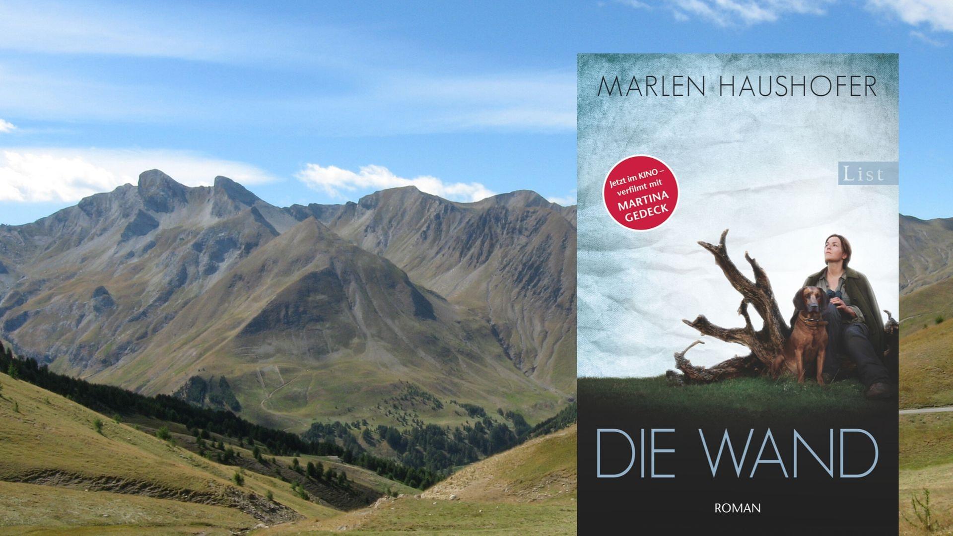 Buchcover: Marlen Haushofer: „Die Wand“ Buchcover: Marlen Haushofer: „Die Wand“
