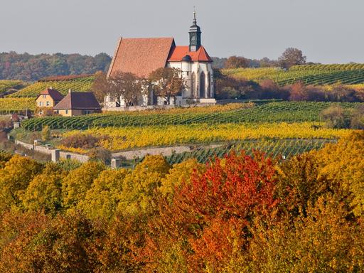 Blick auf die katholische Wallfahrtskirche Maria im Weingarten in herbstlich gefärbter Landschaft am 20.10.2012 in Volkach (Bayern).
