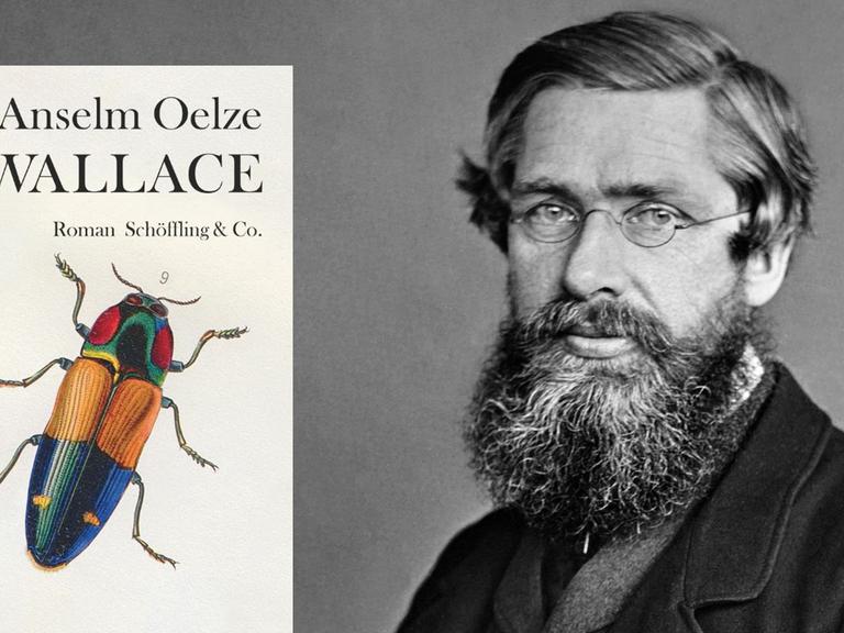 Buchcover "Anselm Oelze: Wallace" und der britische Naturforscher Wallace