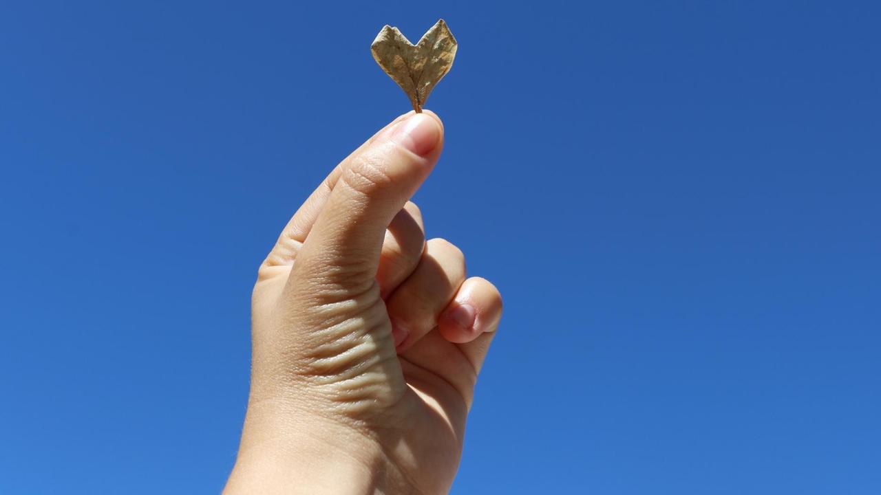 Eine Hand hält ein Blatt in Herzform. Eine Hand hält ein Blatt in Herzform.