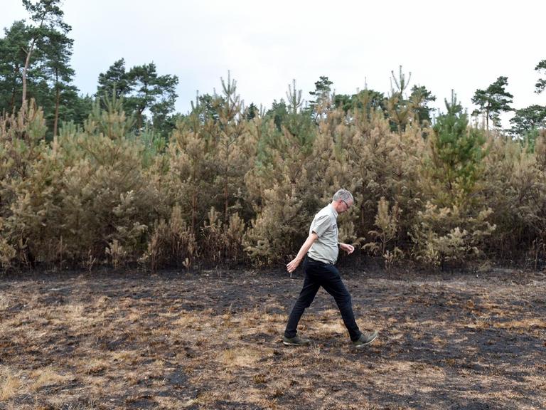 Kersten Blaschczok, Forstdirektor beim Regionalverband Ruhr (RVR), dokumentiert im Juli 2018 die Auswirkungen eines kleinen Feuers im Waldgebiet Haard.