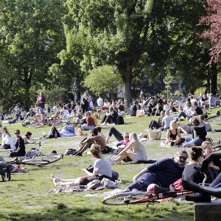 Menschen sitzen im Berliner Volkspark am Weinberg auf der Wiese, darunter viele junge Menschen, und genießen die sommerlichen Temperaturen bei Sonnenschein.