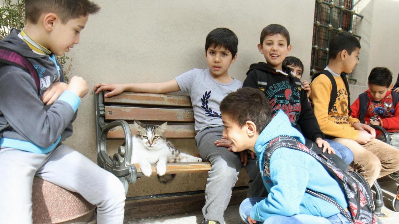 Syrische Schulkinder spielen an einer Bank mit einer Katze.