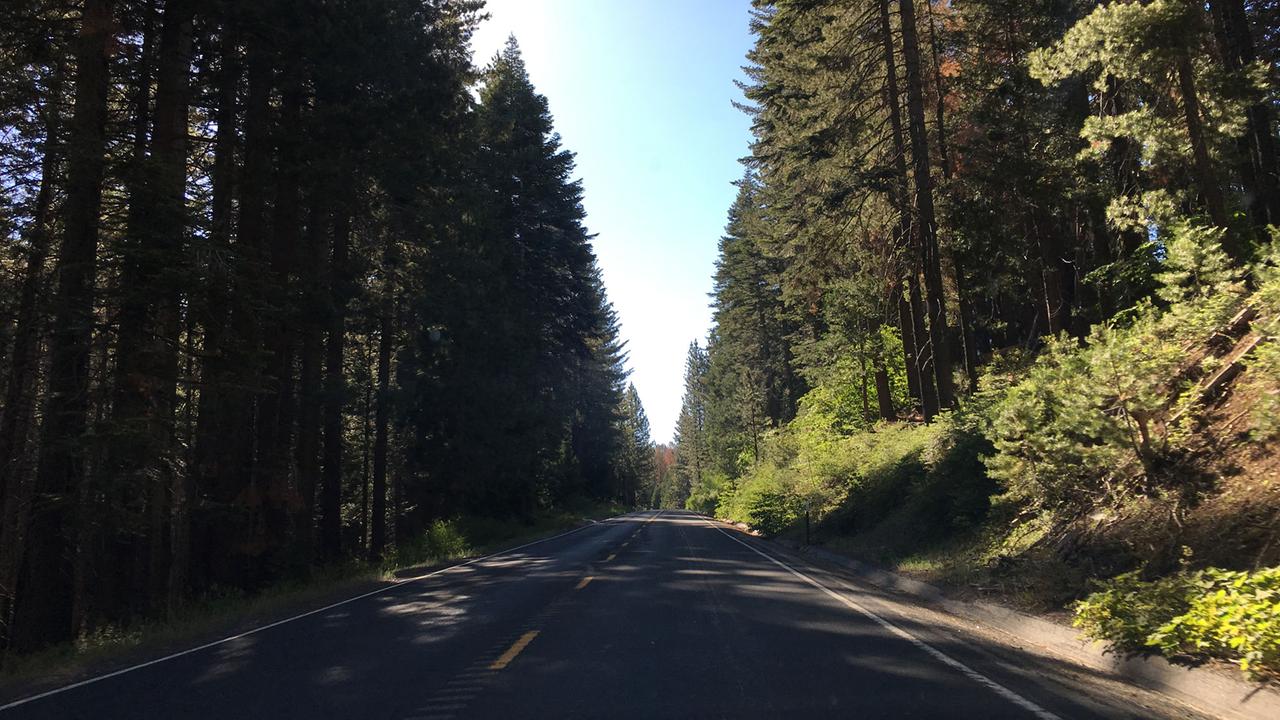 Straße im Yosemite Nationalpark