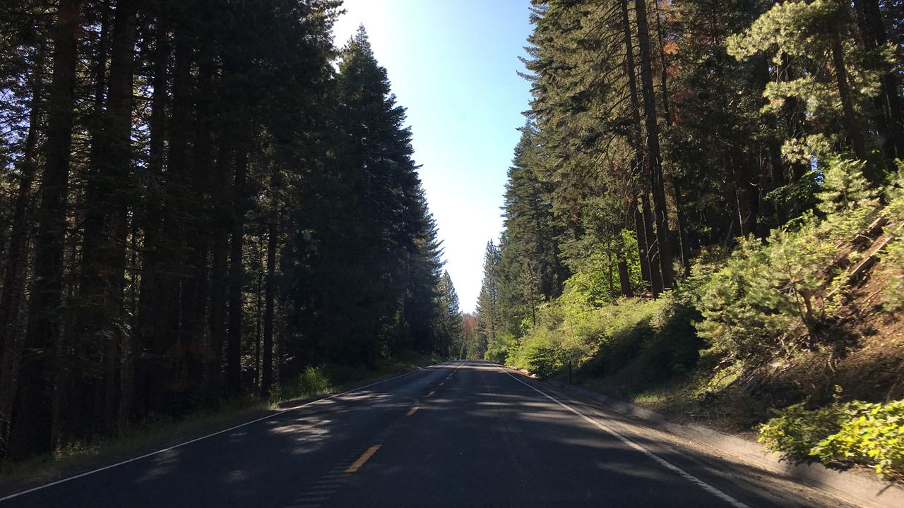 Straße im Yosemite Nationalpark Straße im Yosemite Nationalpark