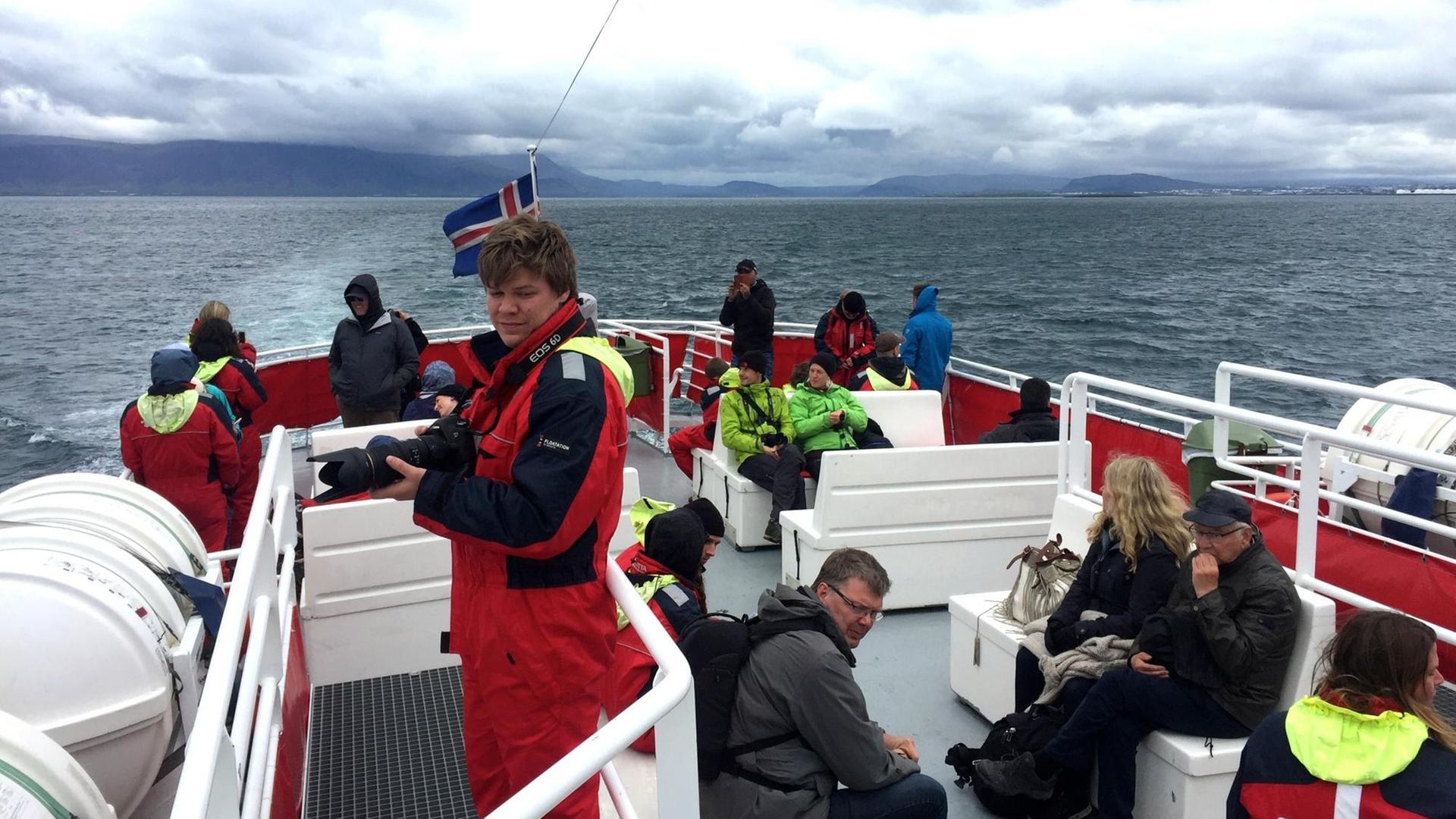 Walsafari in der Bucht von Reykjavik Walsafari in der Bucht von Reykjavik