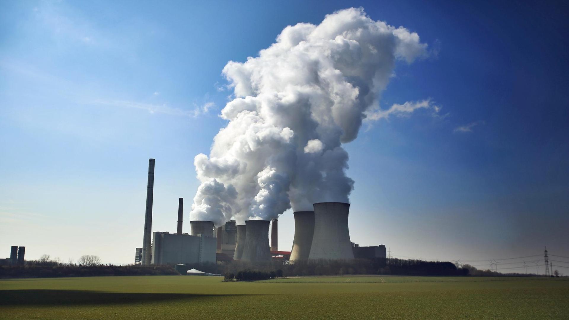 Dampf steigt in der Nähe von Grevenbroich aus den Kühltürmen des RWE Braunkohlekraftwerks Neurath Dampf steigt in der Nähe von Grevenbroich aus den Kühltürmen des RWE Braunkohlekraftwerks Neurath