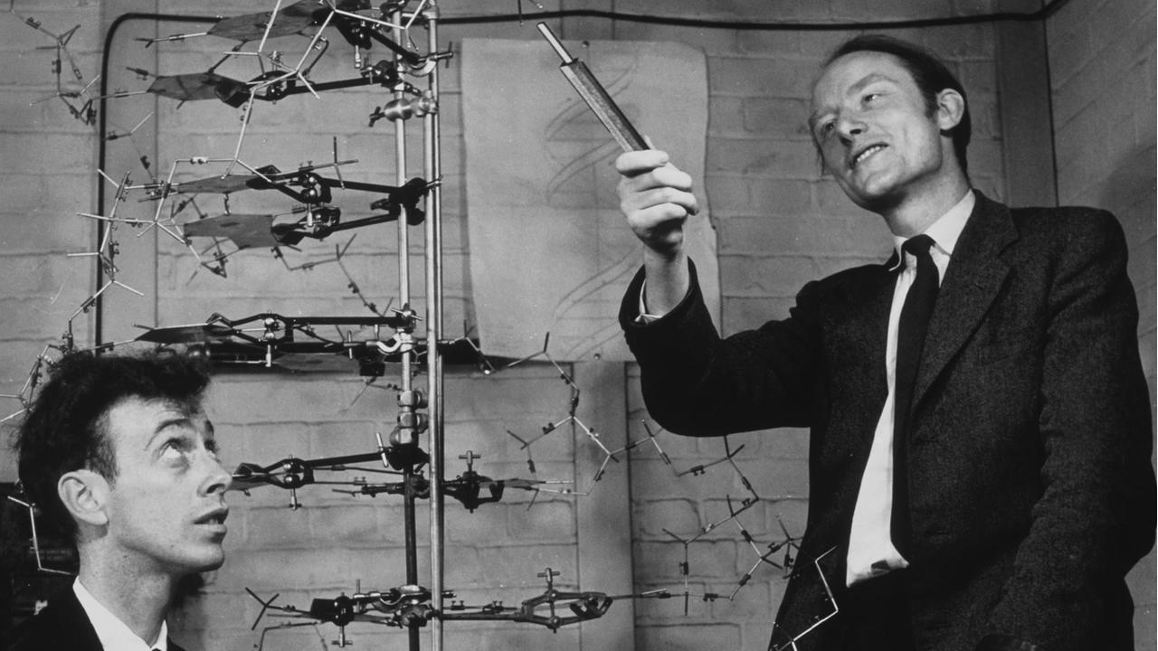 James Watson (geb. 1928, US-amerikanischer Biochemiker) und Francis Crick (1916-2004, britischer Physiker und Biochemiker). Zusammen mit Maurice Wilkins und Rosalind Franklin Entdecker der Molekularstruktur der DNS (engl. DNA). 1962 Nobelpreis für Medizin. Watson und Crick mit ihrem DNA-Modell, 1953.