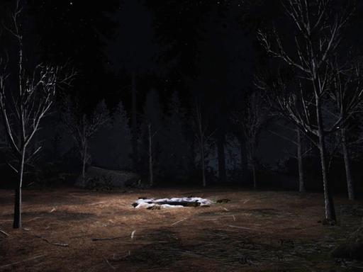 Eine Aufnahme aus dem Virtuel-Reality-Game "Twin Peaks".