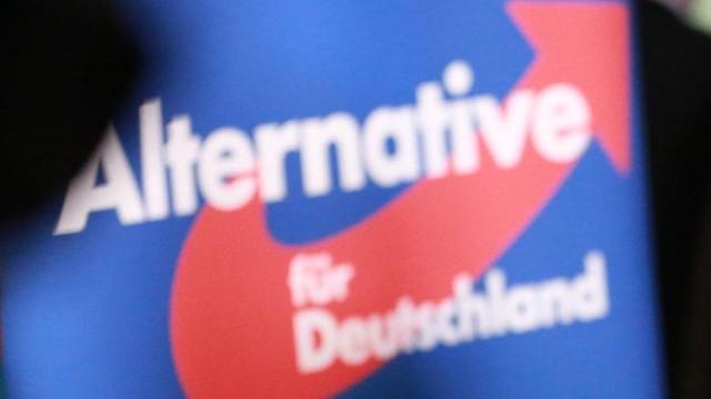 Die AfD-Vorsitzende Frauke Petry spricht am Abend nach den Landtagswahlen in ein Mikrofon.