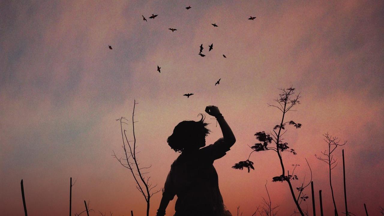 Dämmerungsaufnahme auf einer Lichtung mit den Silhouette eines Mädchens, die ihren Arm in die Höhe hält und einem Vogelschwarm über ihr. Dämmerungsaufnahme auf einer Lichtung mit den Silhouette eines Mädchens, die ihren Arm in die Höhe hält und einem Vogelschwarm über ihr.