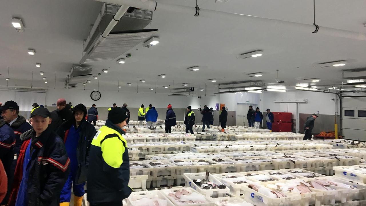 Fischmarkt in der Stadt Peterhead im Nordosten Schottlands. Eine Halle, in der lauter Kisten mit frischen Fischen stehen. Fischmarkt in der Stadt Peterhead im Nordosten Schottlands. Eine Halle, in der lauter Kisten mit frischen Fischen stehen.