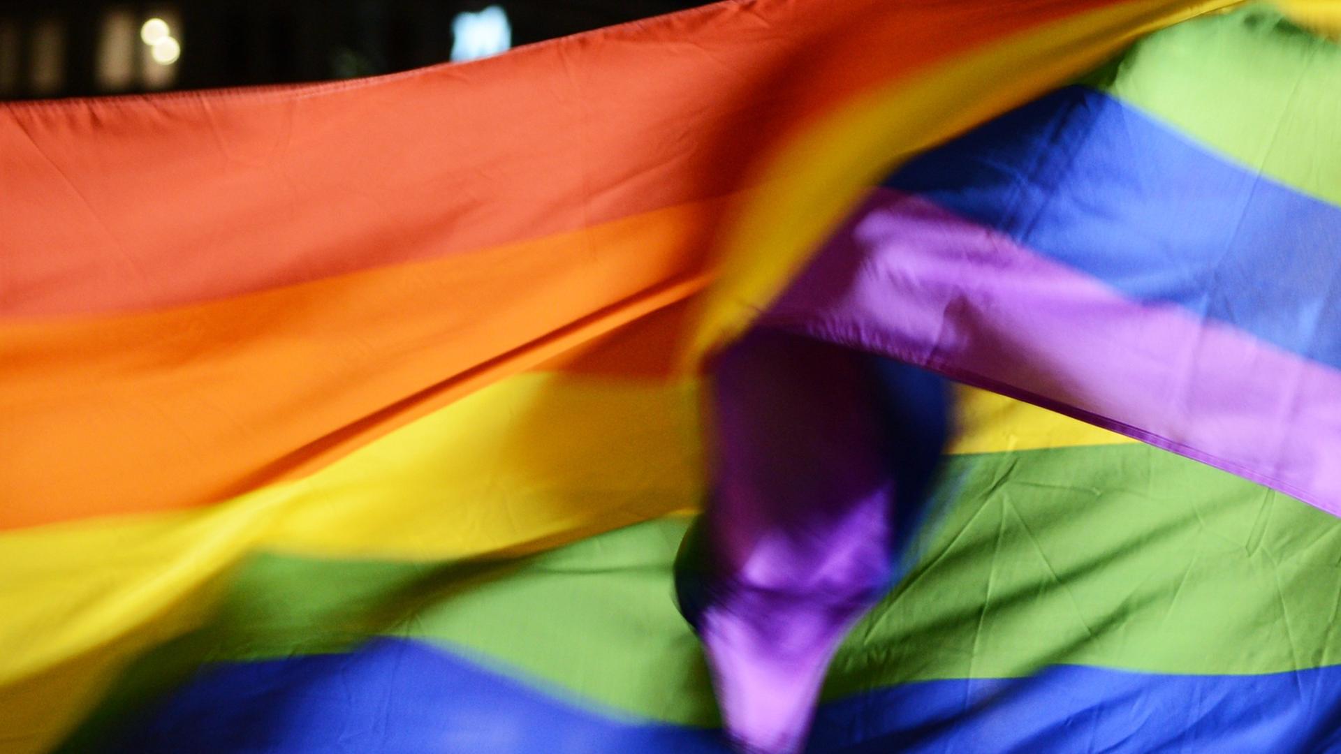 Wehende Regenbogenflaggen auf einer Demonstration. Wehende Regenbogenflaggen auf einer Demonstration.