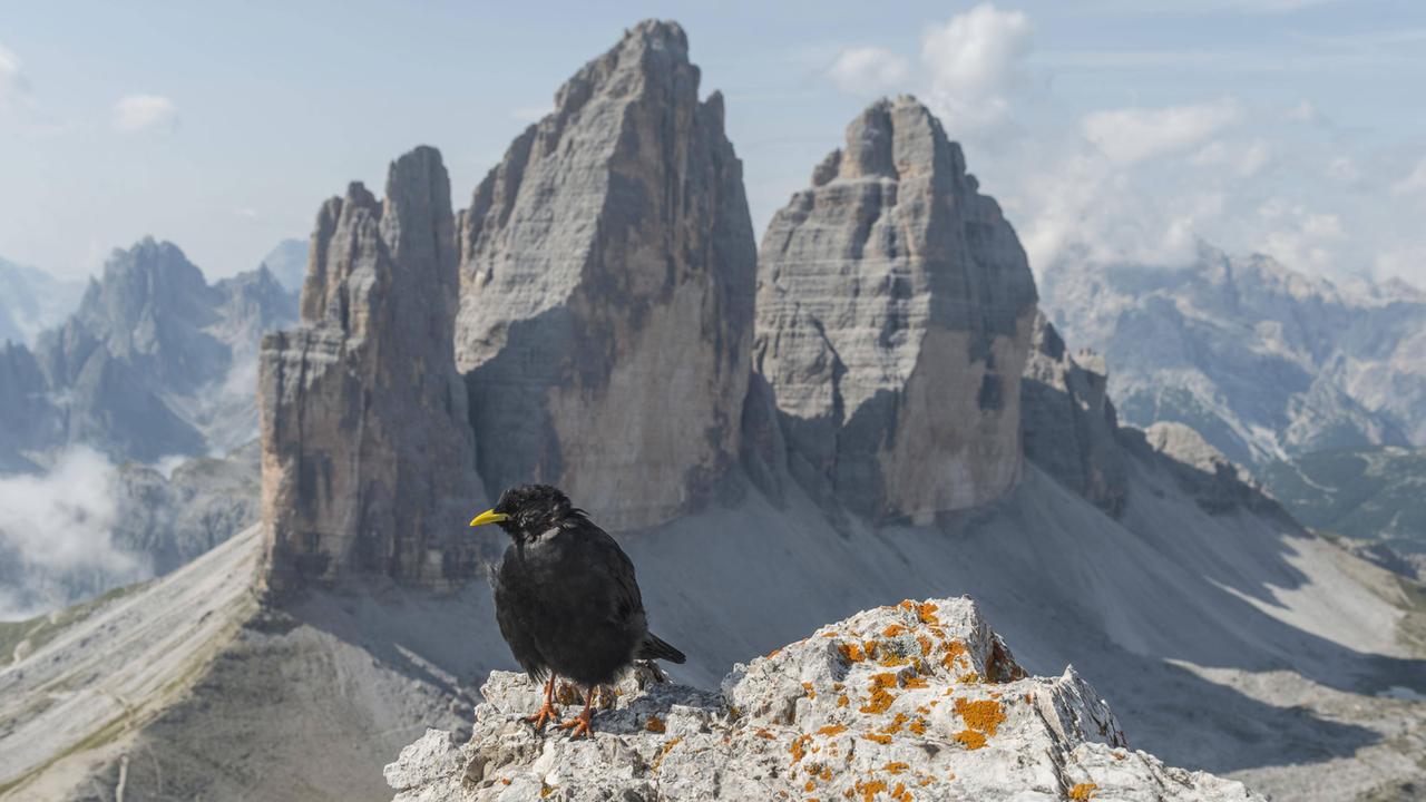 Drei Zinnen in den Dolomiten, Südtirol Drei Zinnen in den Dolomiten, Südtirol