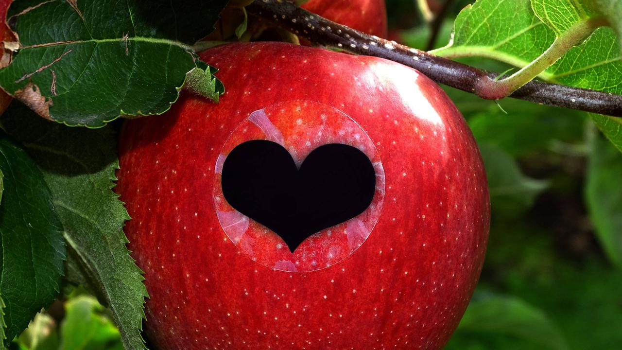 Ein prächtiger Jonagold-Apfel trägt ein Smiley Ein prächtiger Jonagold-Apfel trägt ein Smiley