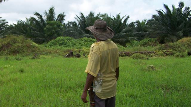 20.000 Quadratkilometer Land will Kolumbiens Regierung an Landwirte zurückgeben.