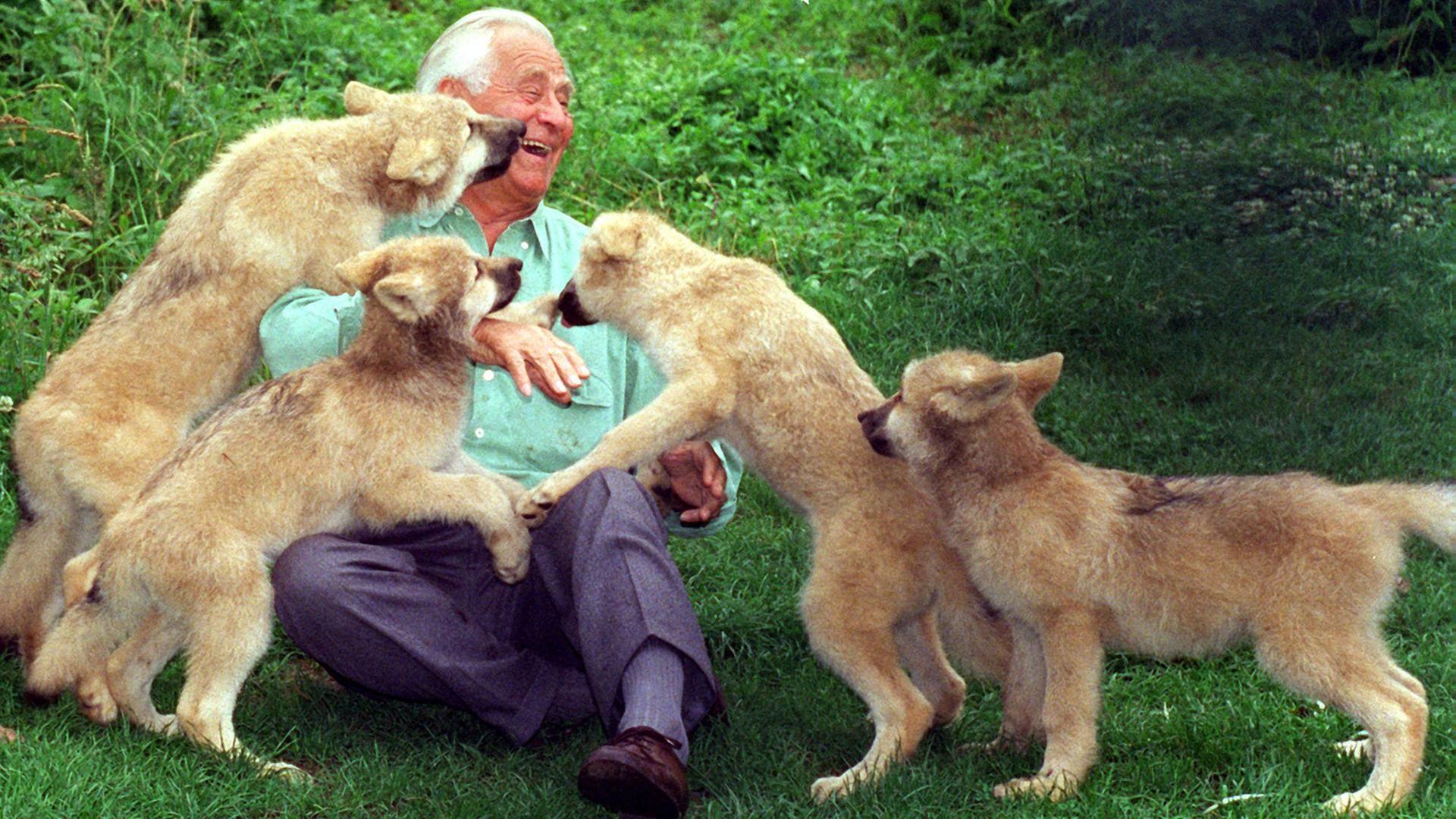 Der Tierfilmer Heinz Sielmann (1917-2006)im Jahr 2002 mit Arktis-Jungwölfen im saarländischen Merzig. Der Tierfilmer Heinz Sielmann (1917-2006)im Jahr 2002 mit Arktis-Jungwölfen im saarländischen Merzig.