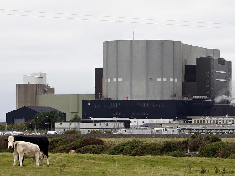 Das stillgelegte Atomkraftwerke Wylfa in Anglesey, nahe der Ortschaft Cemaes. Das Atomkraftwerk war seit 1971 im Einsatz. Aufnahme von Oktober 2008. AFP PHOTO/Paul Ellis / AFP PHOTO / PAUL ELLIS Das stillgelegte Atomkraftwerke Wylfa in Anglesey, nahe der Ortschaft Cemaes. Das Atomkraftwerk war seit 1971 im Einsatz. Aufnahme von Oktober 2008. AFP PHOTO/Paul Ellis / AFP PHOTO / PAUL ELLIS