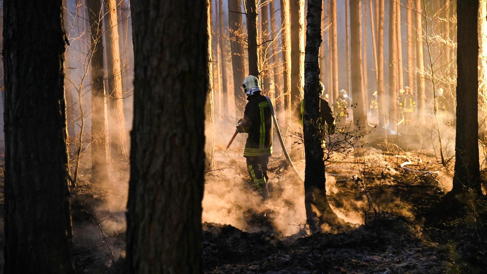 Feuerwehrleute löschen einen Waldbrand im nördlichen Brandenburg Feuerwehrleute löschen einen Waldbrand im nördlichen Brandenburg