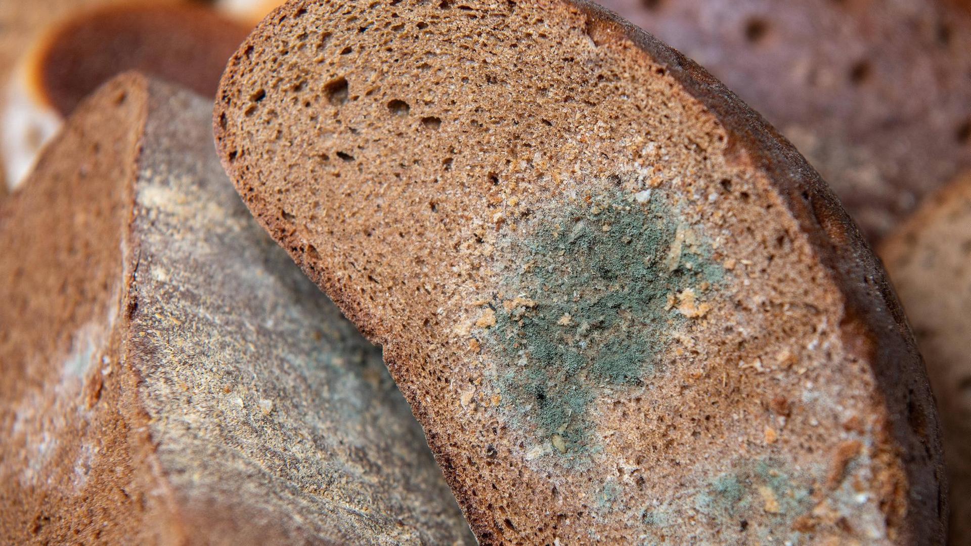 Ein angeschnittener Laib Brot mit gräulichgrünem Schimmel bedeckt Ein angeschnittener Laib Brot mit gräulichgrünem Schimmel bedeckt