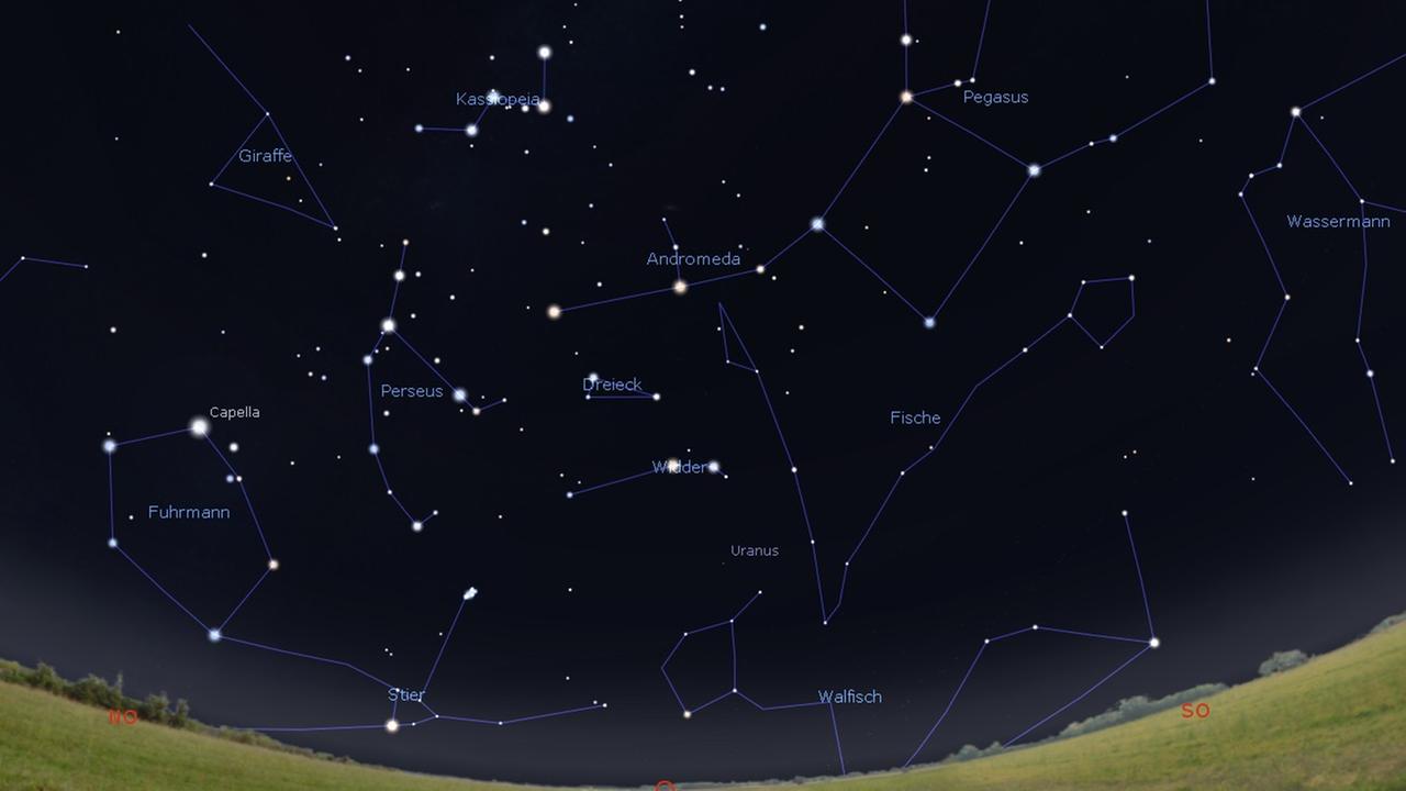 Das Sternbild Perseus, aus dem die Sternschnuppen zu kommen scheinen, steht gegen 1 Uhr recht hoch am Osthimmel 