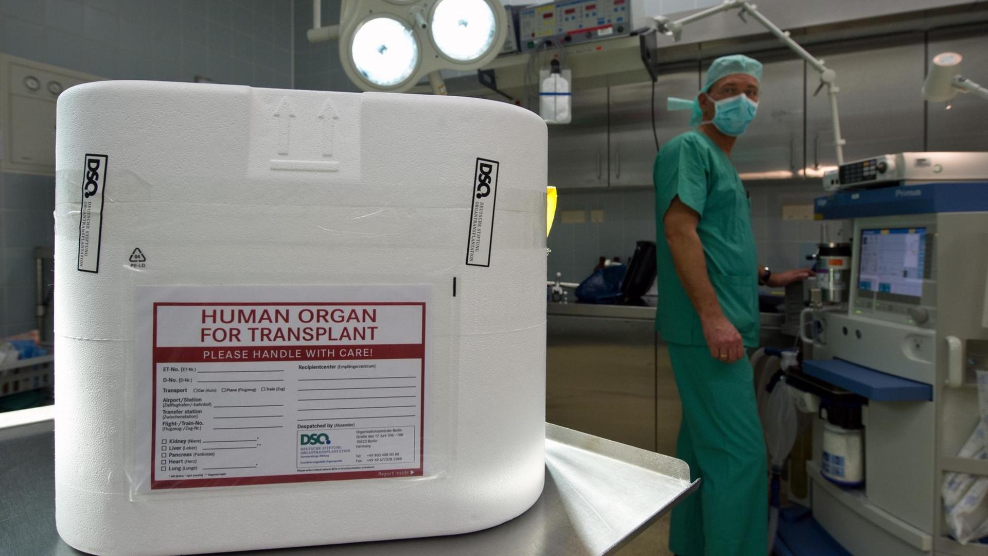 Ein Styropor-Behälter zum Transport von zur Transplantation vorgesehenen Organen im Operationssaal eines Krankenhauses Ein Styropor-Behälter zum Transport von zur Transplantation vorgesehenen Organen im Operationssaal eines Krankenhauses