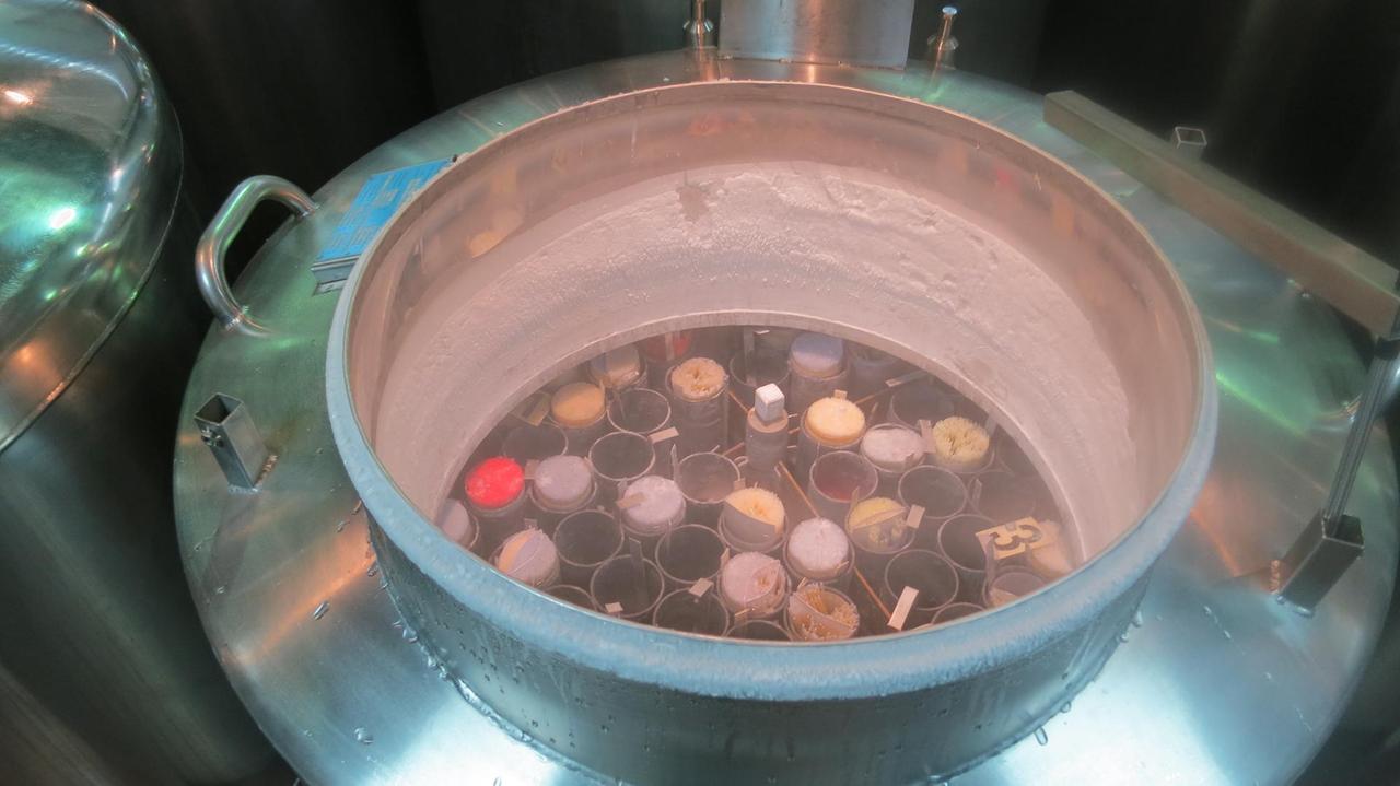 In großen Stickstoffbehältern werden gefrorene Embryonen bei -130 Grad gelagert. 