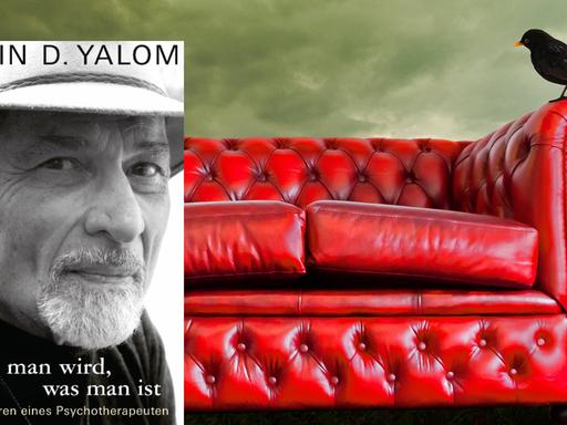 Auf welche Faktoren Sie als Käufer bei der Auswahl von Irvin d yalom Acht geben sollten