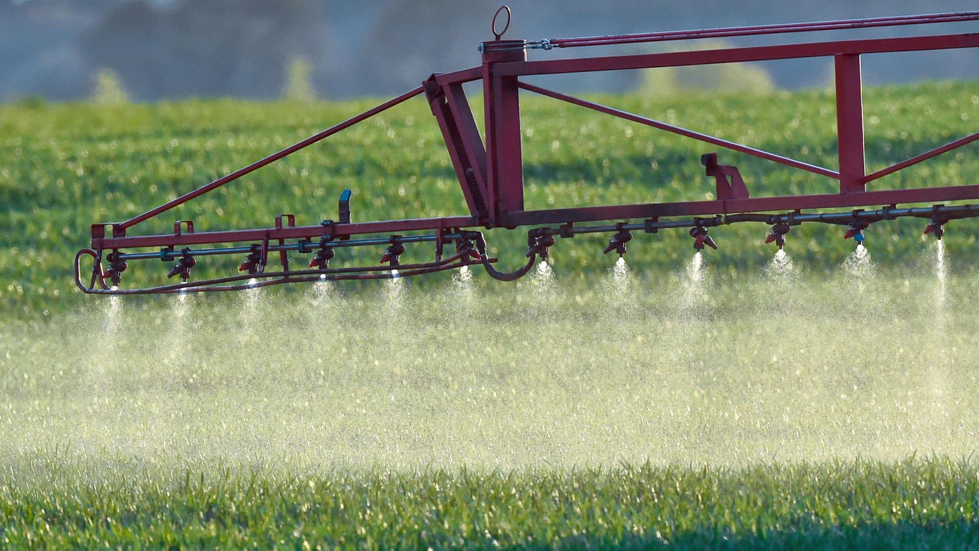 Ein Landwirt fährt mit einer Dünger- und Pestizidspritze über ein Feld mit jungem Getreide in Sieversdorf im Landkreis Oder-Spree. Ein Landwirt fährt mit einer Dünger- und Pestizidspritze über ein Feld mit jungem Getreide in Sieversdorf im Landkreis Oder-Spree.