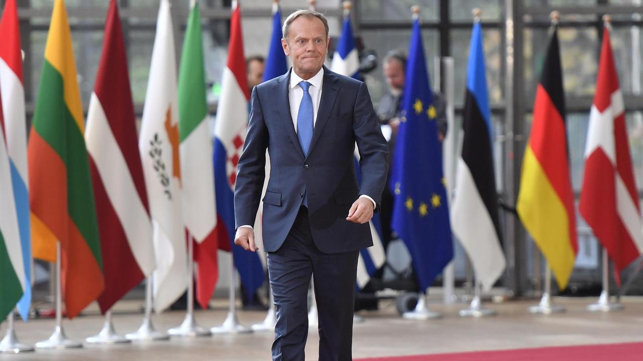 EU-Ratspräsident Donald Tusk geht in Brüssel über einen roten Teppich. Im Hintergrund sind die Fahnen der Mitgliedsländer zu sehen. EU-Ratspräsident Donald Tusk geht in Brüssel über einen roten Teppich. Im Hintergrund sind die Fahnen der Mitgliedsländer zu sehen.