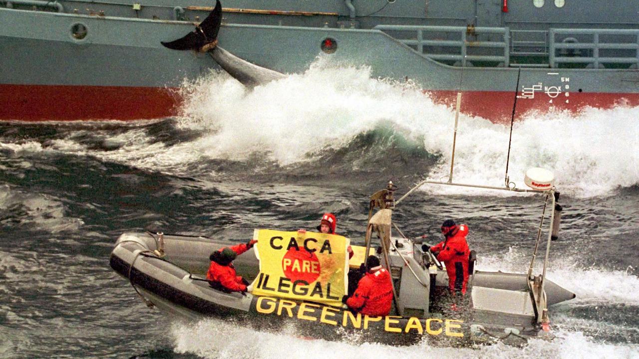 Greenpeace-Aktivisten in einem Schlauchboot fahren am 20.12.1999 an einem japanischen Verarbeitungsschiff im Walschutzgebiet in der Antarktis vorbei, um den Walfang zu stoppen. Greenpeace-Aktivisten in einem Schlauchboot fahren am 20.12.1999 an einem japanischen Verarbeitungsschiff im Walschutzgebiet in der Antarktis vorbei, um den Walfang zu stoppen.