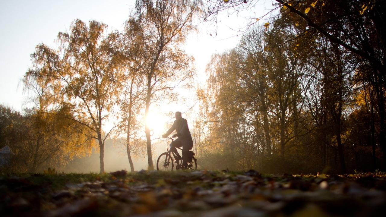 Mit dem Fahrrad durch den Park Mit dem Fahrrad durch den Park