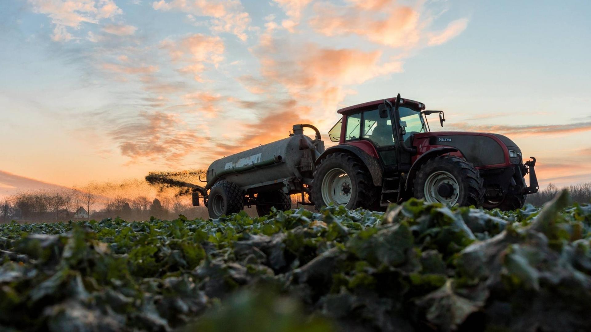 Landwirt fährt mit einem Güllefass bei Sonnenaufgang über ein angefrorenes Feld Landwirt fährt mit einem Güllefass bei Sonnenaufgang über ein angefrorenes Feld