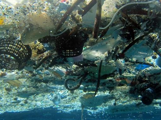 Plastikmüll im Pazifik in der Hanauma-Bucht vor Hawaii.