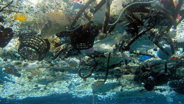 Plastikmüll im Pazifik in der Hanauma-Bucht vor Hawaii. Plastikmüll im Pazifik in der Hanauma-Bucht vor Hawaii.