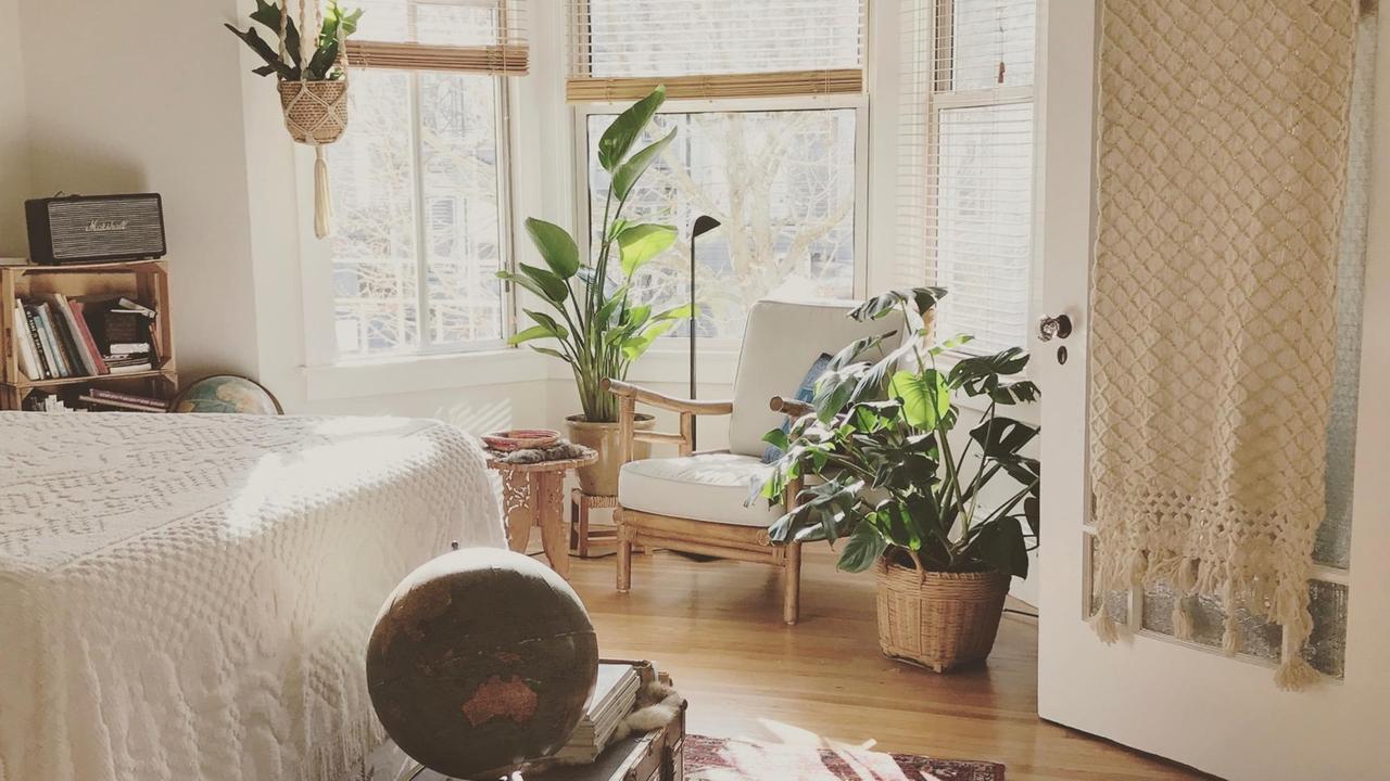 Zimmerpflanzen stehen in einer Wohnung. Zimmerpflanzen stehen in einer Wohnung.