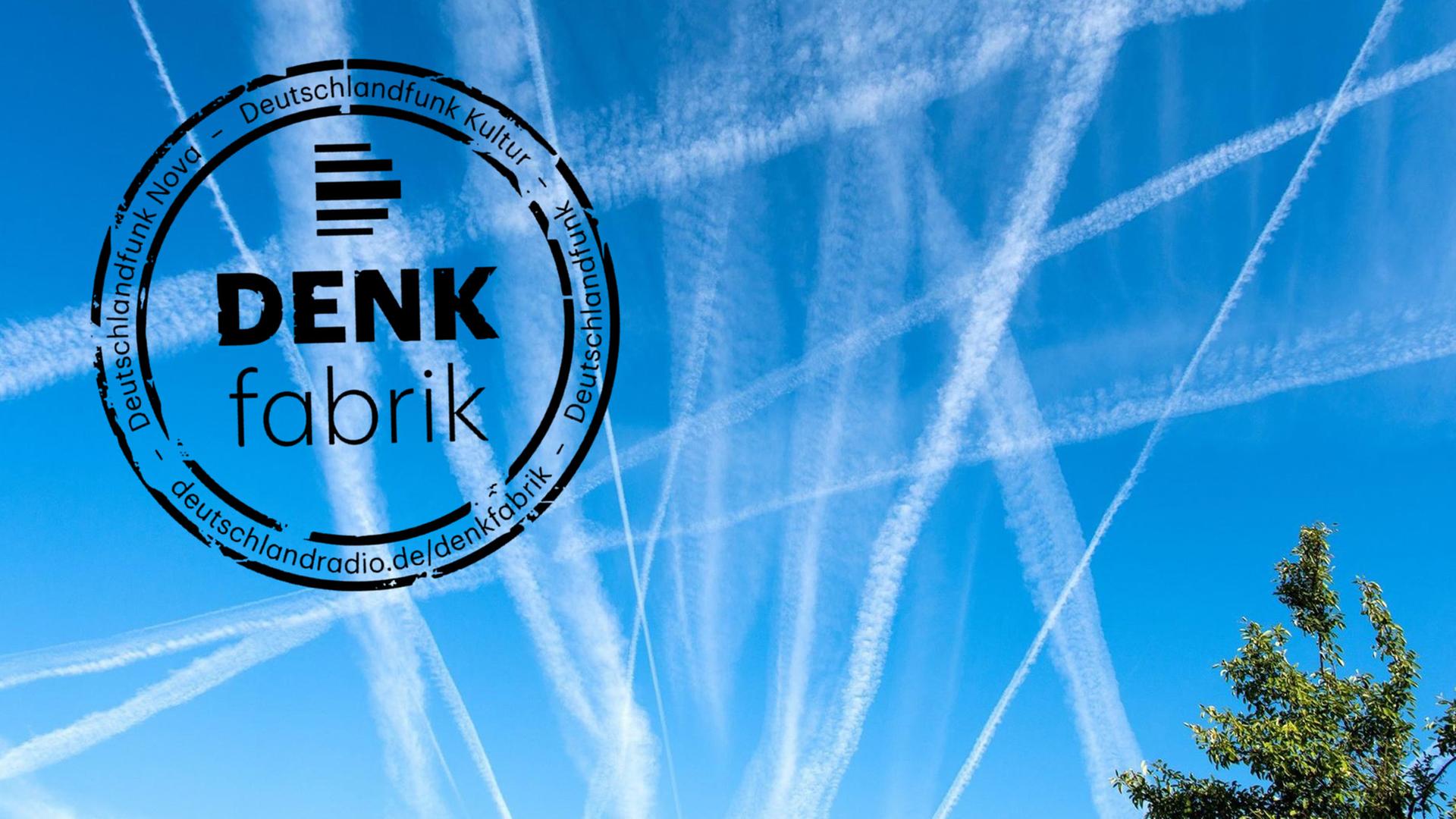 Eine Vielzahl an Kondensstreifen zerschneidet einen blauen Himmel Eine Vielzahl an Kondensstreifen zerschneidet einen blauen Himmel